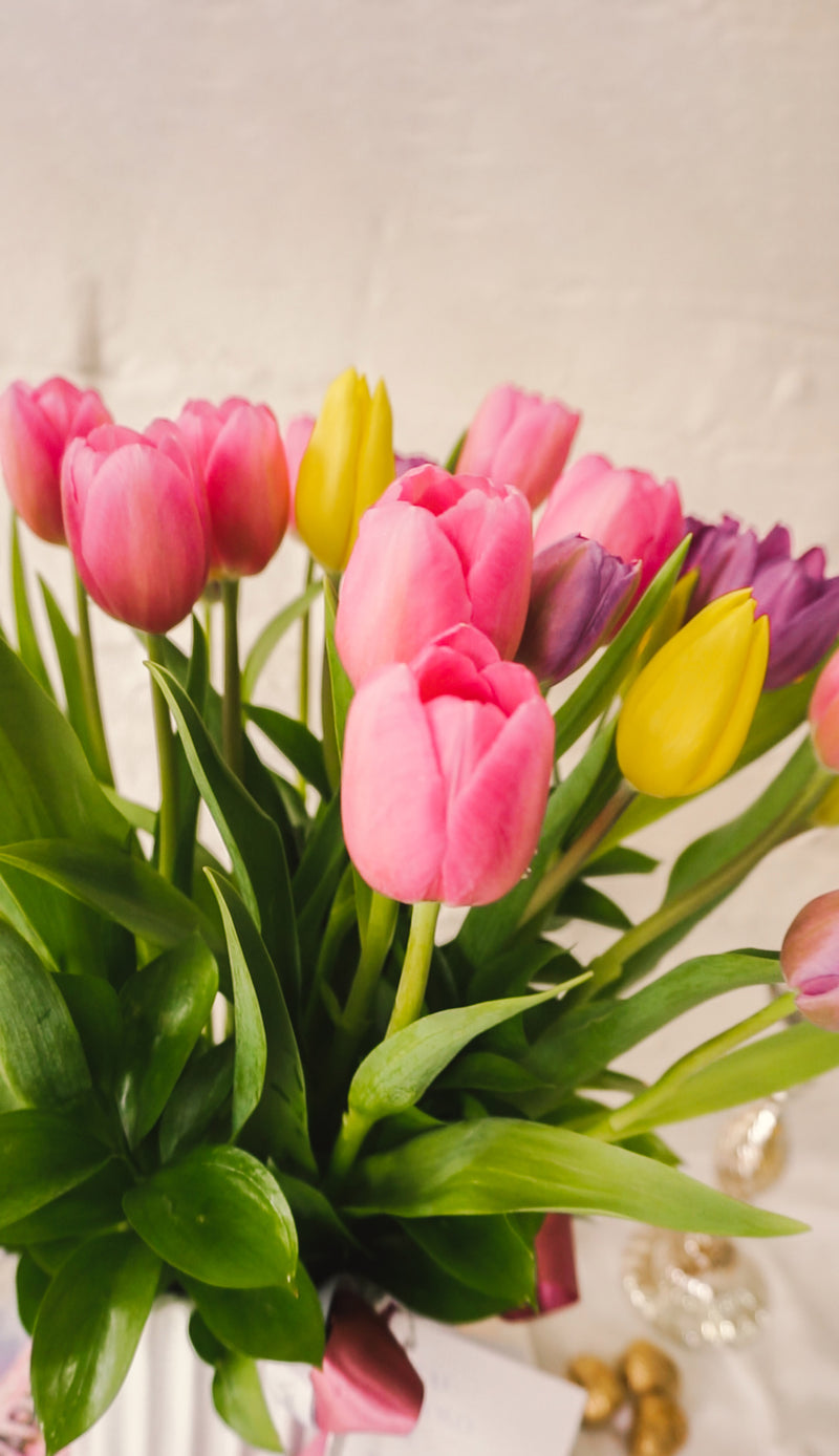 Violeta, alegre  arreglo floral  con 30 tulipanes