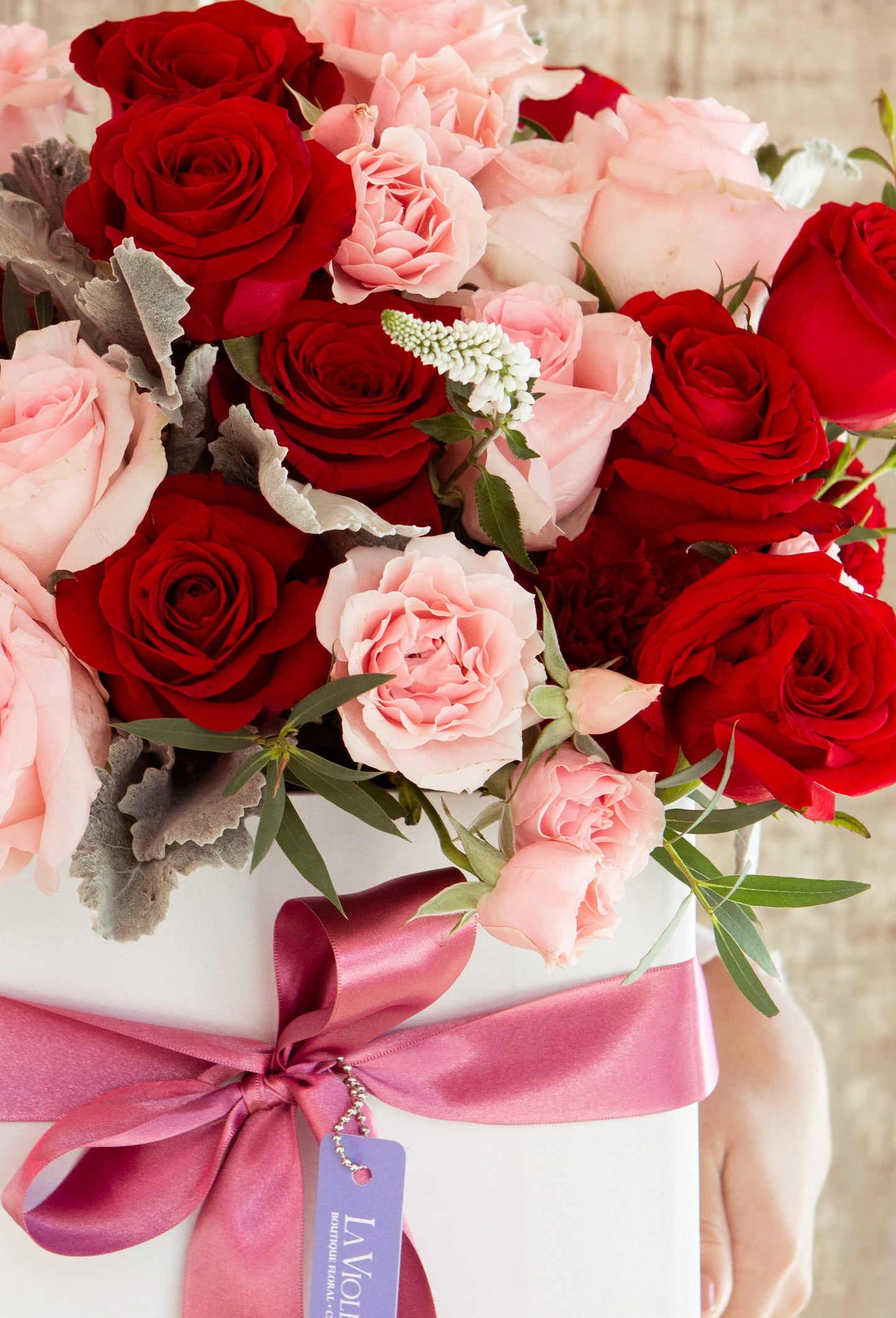 Andrea, rosas rojas y rosas rosadas.