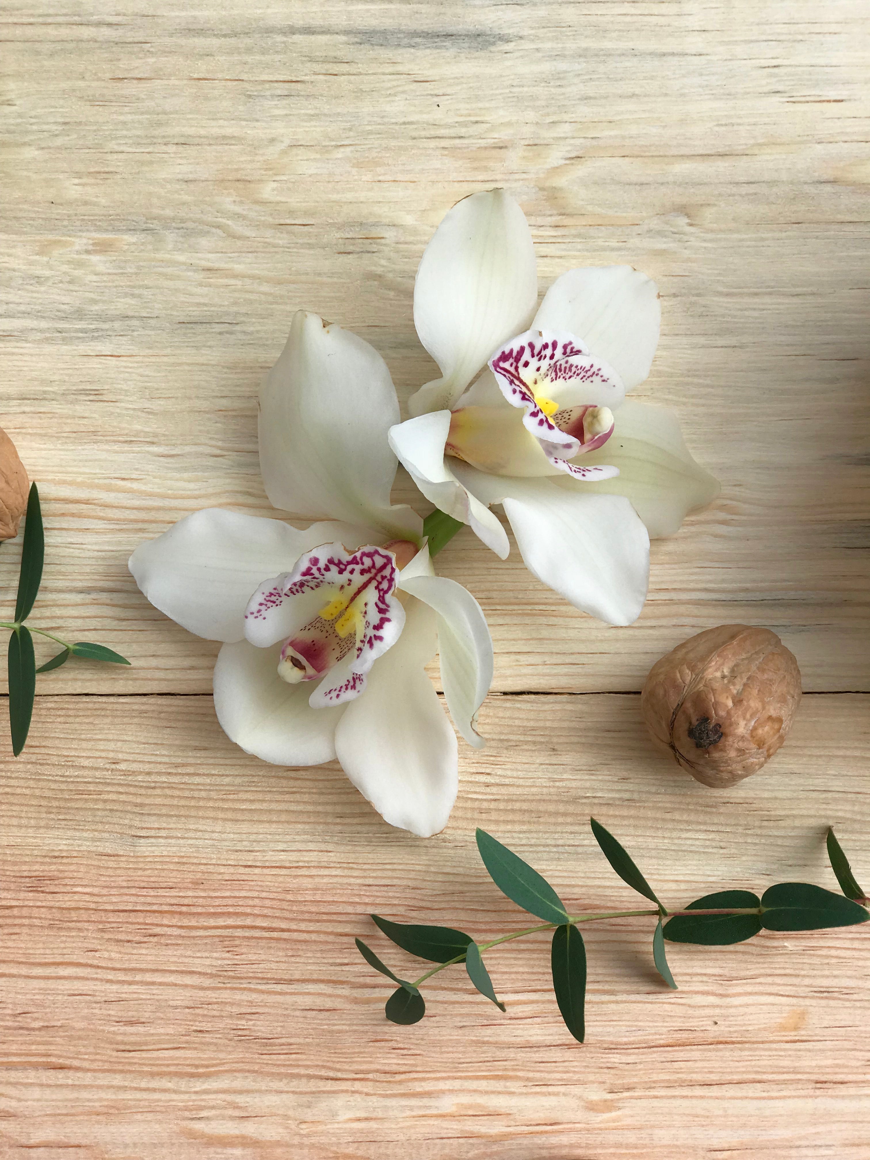¡Agrega Orquídeas extra!